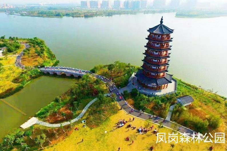 东莞凤岗《国际公馆》小产权房四栋大型统建楼 户户精装修