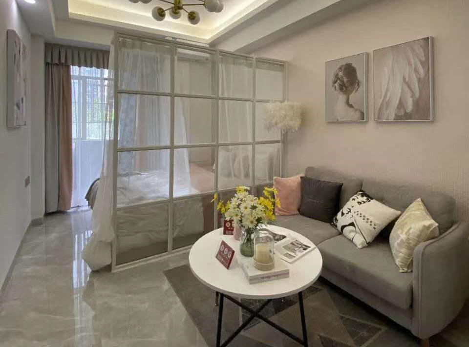 龙华民治村委房松仔园《民治首座》双地铁站  村委盖章 历史遗留  总价37.8万起