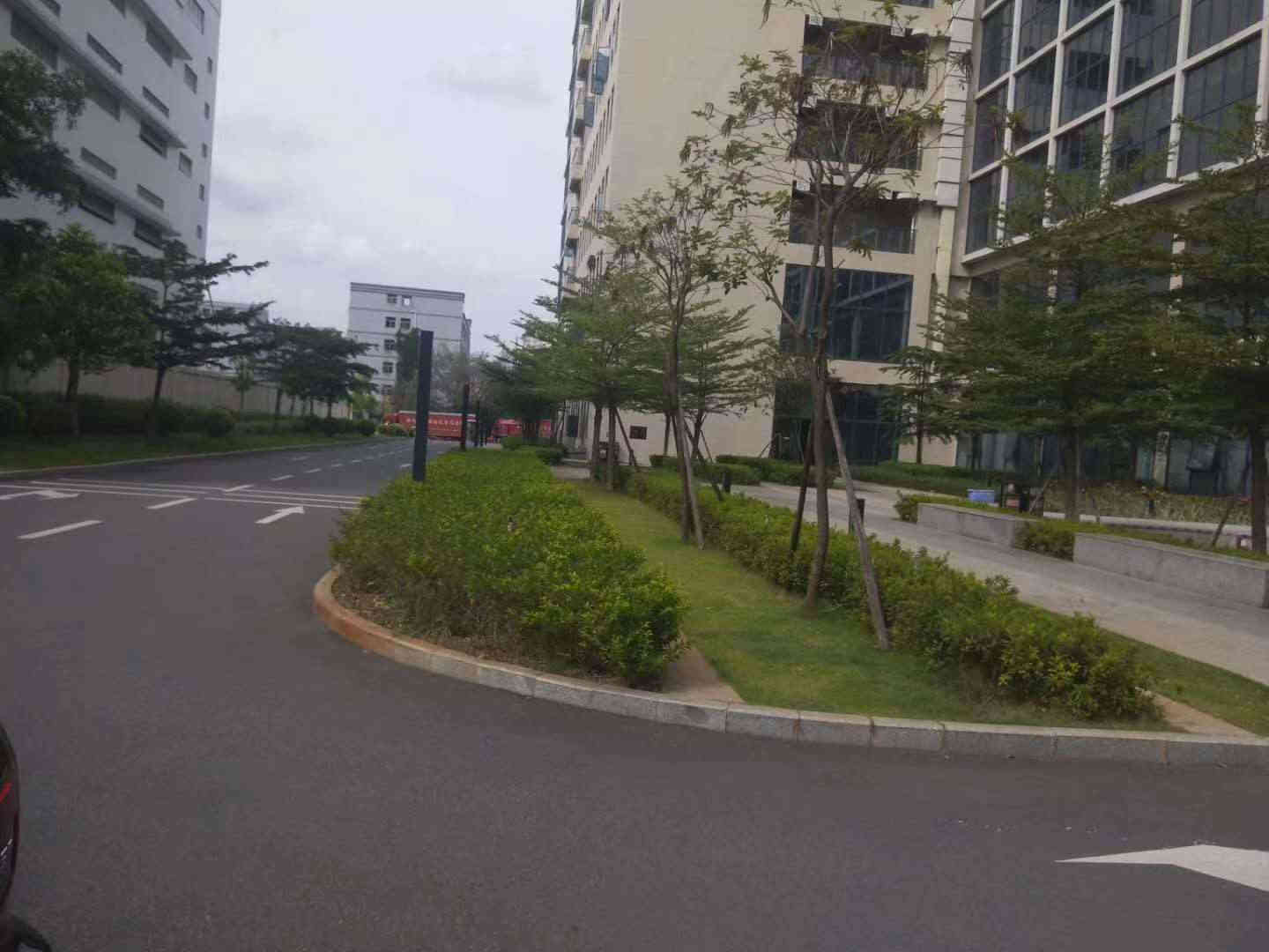 东莞凤岗雁田4栋大型花园统建楼《平湖花园》小产权房 零距离深圳 精装带燃气