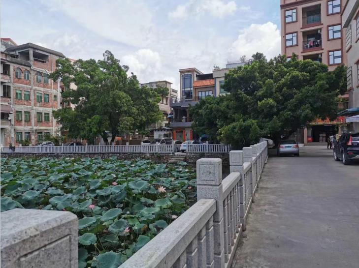 东莞茶山小产权房《金山一品》地铁口物业学区房 南北通透 发绿本 