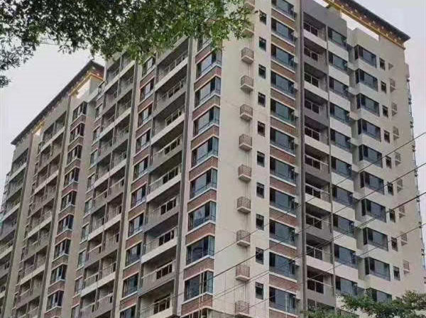 深圳凤岗《公园壹号》小产权房 碧湖森林公园零距离 双阳台带燃气