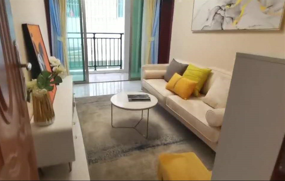 深圳宝安福永《新田居》地铁口小产权房 二梯四户 精装交房 总价36万起