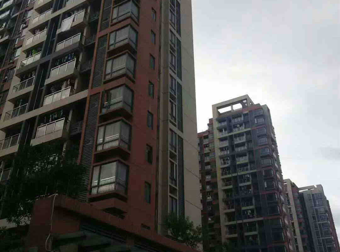 东莞大岭山马蹄岗4栋大型统建楼《松湖雅苑》地铁口R1线500米 总价8.8万起 