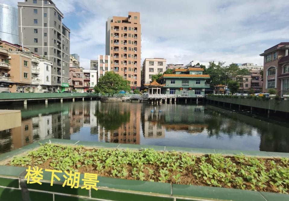 东莞厚街寮厦零首付《湖景新城》小产权房，带天然气，封闭式管理，分期8年