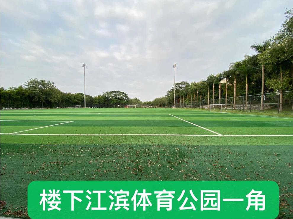 东莞企石6栋大型统建楼《东江新城国际》带地下两层停车场，使用率90%，一线江景