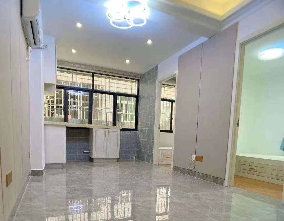 深圳龙华民治松仔园《星河公馆》双地铁口小产权房 村委盖章 原始户型 带天台花园