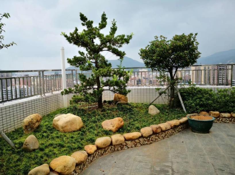 惠阳新圩两栋统建楼《聚贤居》全新精装楼盘 楼顶空中花园 总价35万起