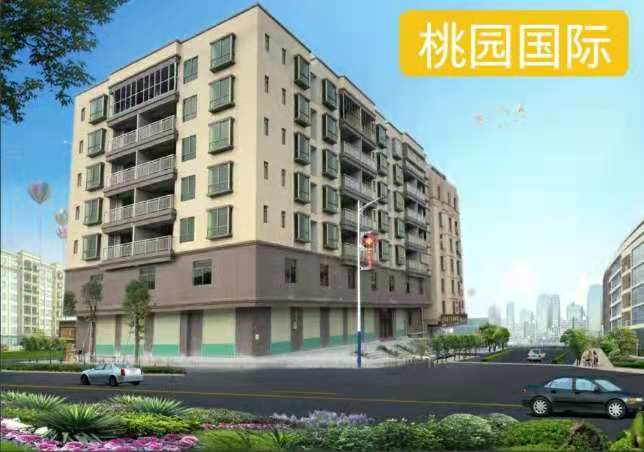 松湖北横沥村头统建楼《桃园国际》2栋规模 带地下停车场 双公园江景房 三房总价27万起