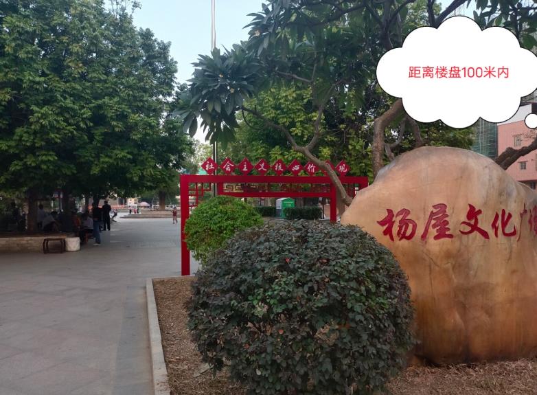 东莞大岭山杨屋4栋大型统建楼《文苑华府》临深小产权房 停车位1:1 可分期五年