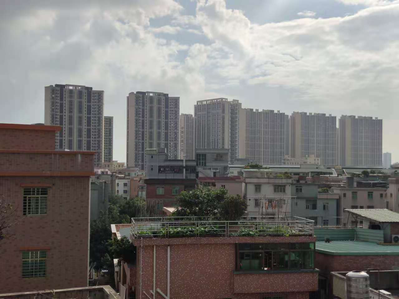 东莞石碣统建楼《东江花园》3680元任选 精装花园小区 封闭式管理 1:1停车位