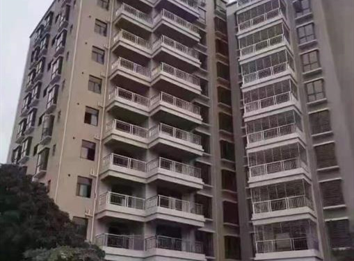 松岗原始户型小产权房《碧头雅居》11号线碧头地铁口 独立大厨房卫生间 楼下就是停车场