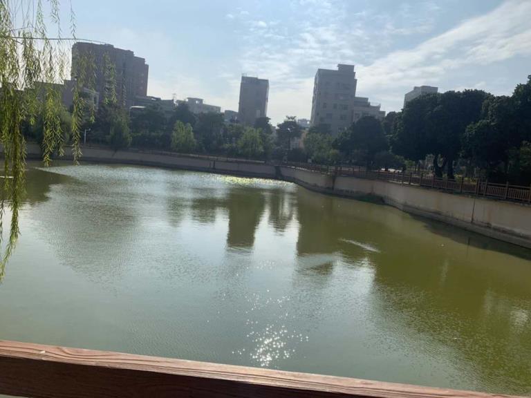 松山湖大朗松柏朗统建楼《地铁景城》零距离公园 带停车场 地铁1号线800米