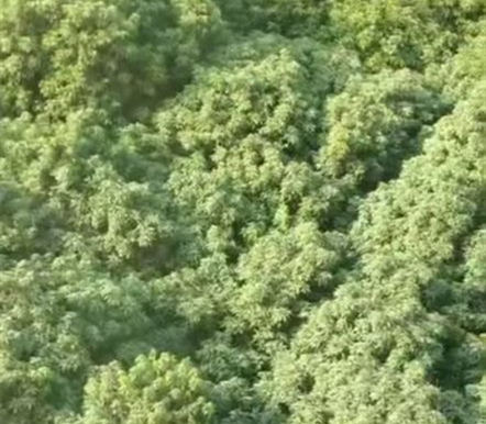 东莞企石统建楼《荔园公馆》三房总价26.8万一套 不论朝向楼层 不定大小任挑任选