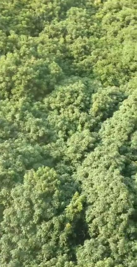 1265903e8adf12fb3e59b545edd70ce