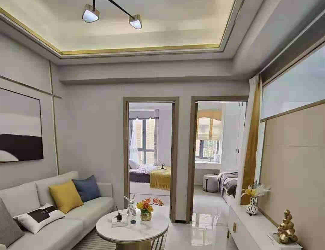 深圳龙华上塘华润拆迁房 《上塘中心城》地铁口 大型停车场 全屋豪装送部分家私 