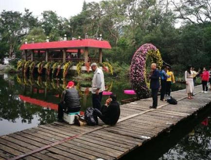 深圳罗湖大望小产权房《望桐豪苑》依山傍水学位房 公园为邻  停车无忧