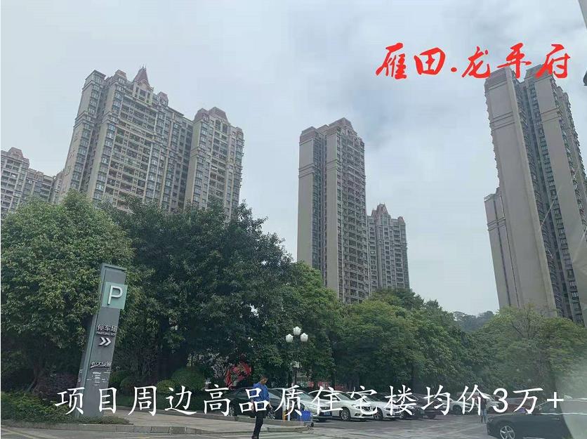 东莞凤岗雁田统建楼《龙平府》深圳地铁10号线龙平地铁口物业 名校环绕公园为邻