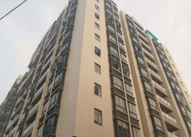 东莞大朗大井头四栋大型统建楼《松湖凤凰领域》地铁口 自带车位 可首付三成