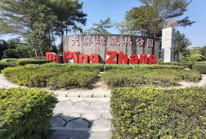 东莞塘厦龙背岭统建楼《龙岭家园》马路边第一排 临深首选楼盘 自带停车场 