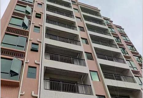 东莞虎门白濠统建楼《高铁名城》高铁站  地铁站  轻轨站 三站合一 四面釆光 上学无忧