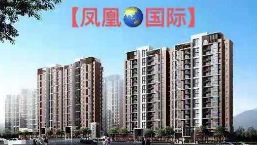 东莞凤岗金凤凰四大栋大型统建楼《凤凰国际》大阳台 通燃气带停车场 首付8.8万起