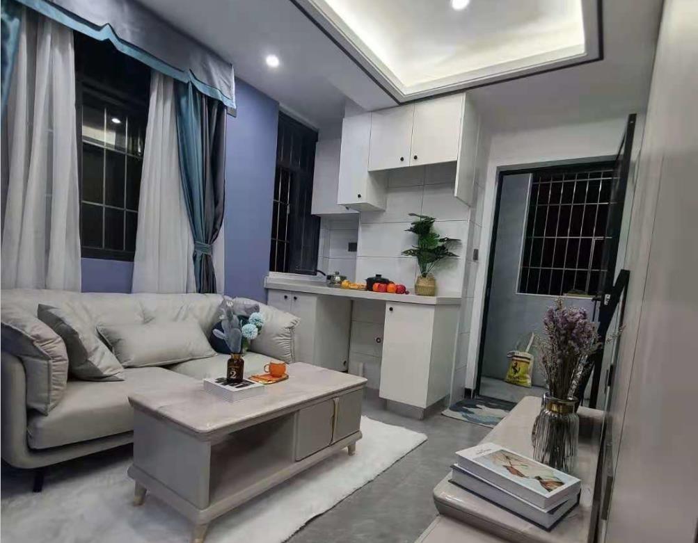 深圳公明上辇旧村小产权房《金合苑》双地铁口 名校环绕 零距离公园 总价39.8万起