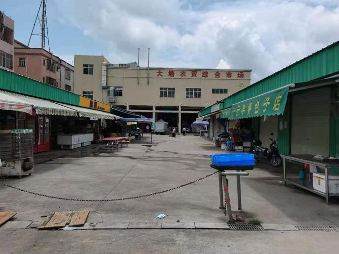 东莞大岭山地塘岭统建楼《依山铭居》大马路第一排 村委停车场 松山湖0距离