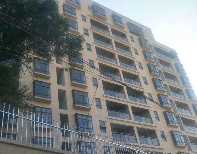 东莞大朗洋坑塘3栋统建楼《松湖星城》松山湖0距离  地铁1号线800米 可分期8年