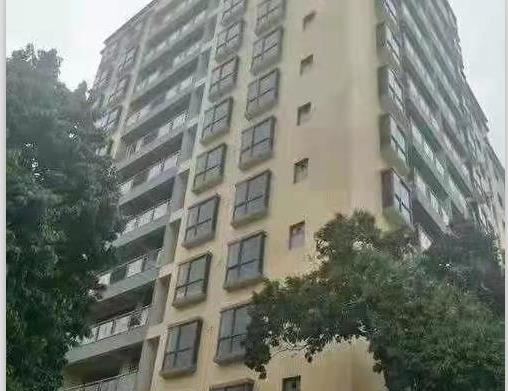 大岭山2大栋统建楼《裕家铭苑》双地铁口带停车场 华为为邻 名校环绕 公园相伴