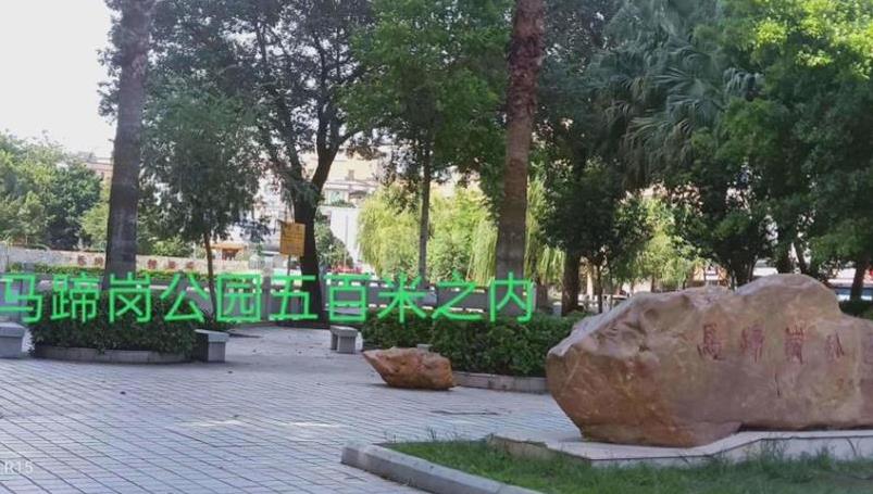 东莞大岭山马蹄岗统建楼《松湖悦城》双地铁口 自带村委停车场 名校环绕