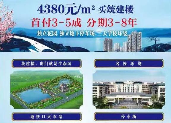 东莞茶山4栋村委花园小区统建楼《印象江南》正规报建村委确权 带停车场 分期8年