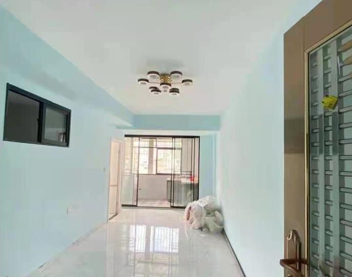 宝安中心区西乡流塘小产权房《流塘一号》通燃气  历史遗留 永久性产权 停车无忧