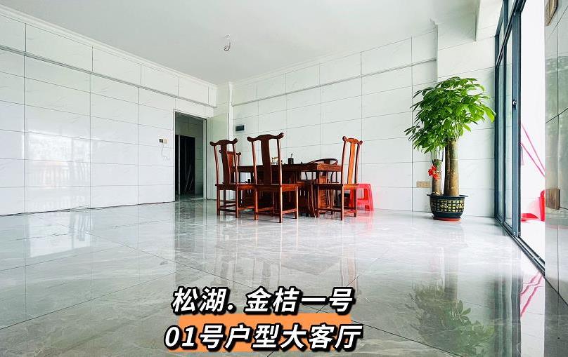 东莞大岭山边岭精装统建楼《松湖金桔一号》双地铁口物业 带地面停车场 名校环绕