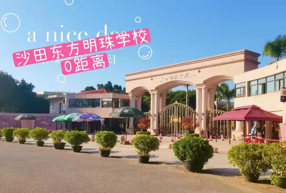 东莞滨海新区沙田统建楼《东方明珠》70年产权 带停车场 南北通透 总价16.8万起