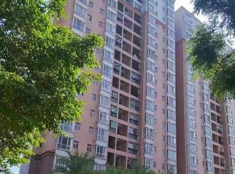 深圳坪山3栋统建楼花园小区《鹭诚花园》可落户 双阳台双地铁 通燃气带停车场