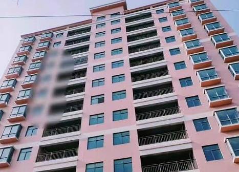 惠州新圩AB两大栋统建楼《塘兴花园》户型方正 公园环绕 自带停车位 总价29.8万起