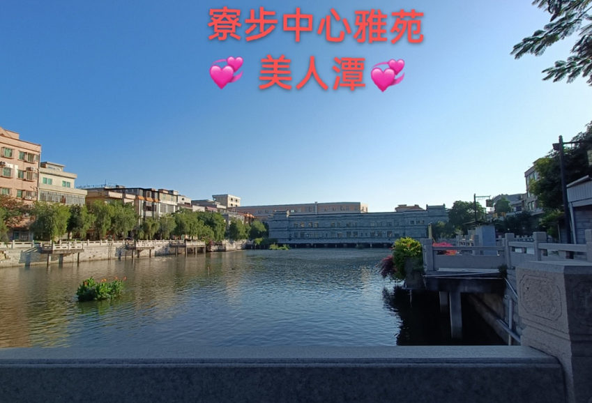 东莞寮步AB两栋《中心雅苑》坐北朝南 封闭式管理  公园学校为邻