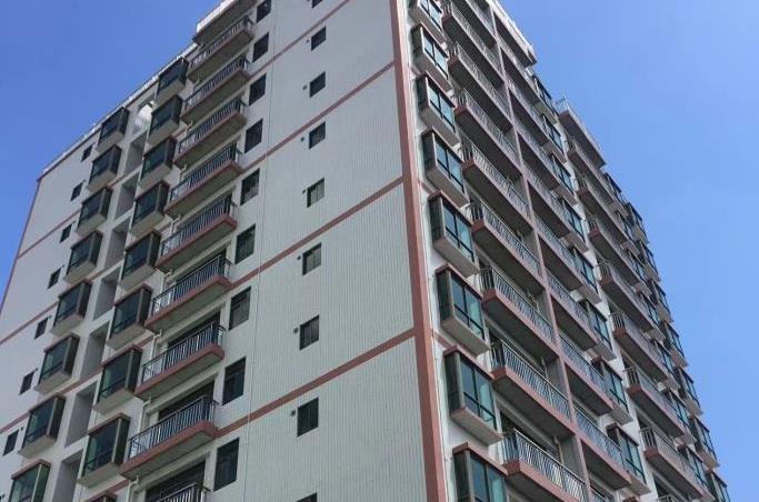 东莞塘厦蛟乙塘2栋小产权房（邻深新城）深圳观澜零距离 大阳台带免费停车场 可分期8年