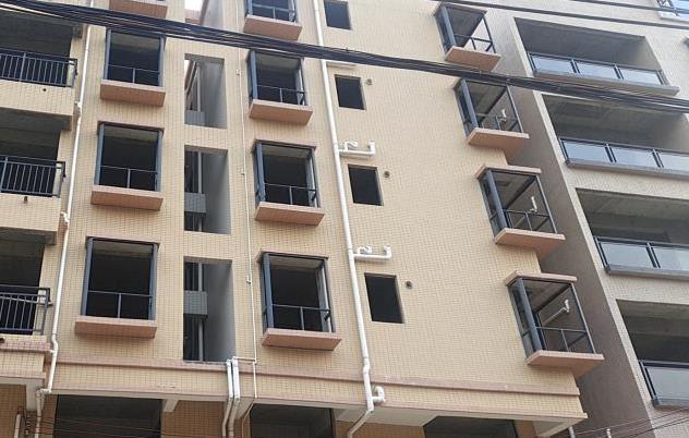 惠阳新圩小产权房《万福楼》《坑塘大厦》双盘齐售  大路边双阳台 精装带租约