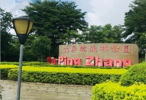 东莞塘厦大坪AB两栋临深房小产权房《黎光华府》带阳台带停车场 公园学校相伴