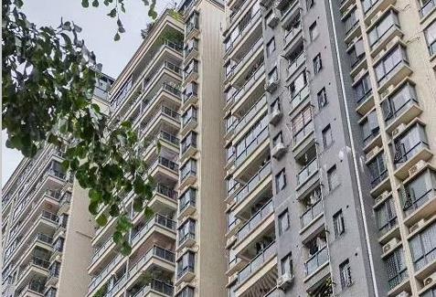 龙华3栋大型花园《龙胜天颂》村委统建楼 原始户型可落户 通燃气带停车场 名校环绕