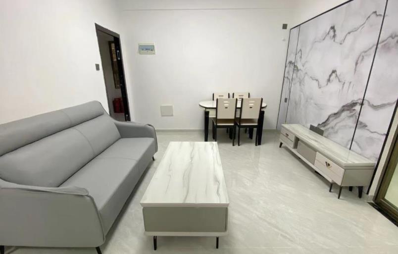 布吉南岭地铁口大芬[南岭壹号] 豪华装修住家坐等拆迁 名校环绕采光通透