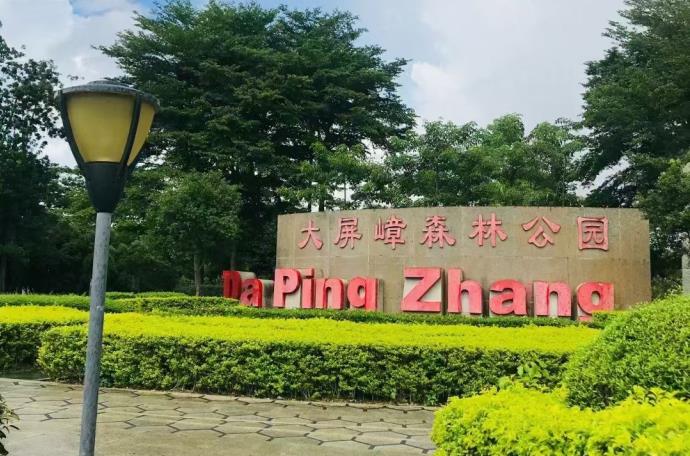 东莞塘厦大坪新盘[清湖雅园]公园家门口 两房36万起 大型停车场 3分钟到达深圳