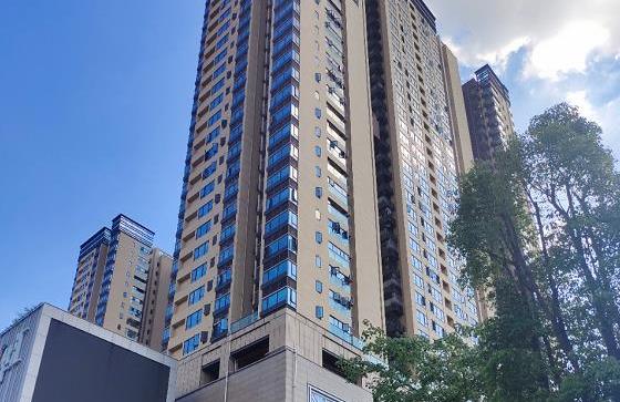 8月5日隆重上市29.8万一套起 布吉长龙小产权房「阳光新苑」地铁口物业