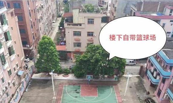 东莞常平新盘「公园壹号」小产权房 公园相伴 学校为邻 楼下有篮球场