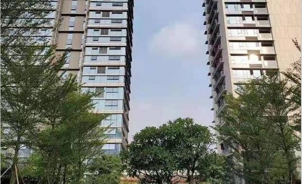 东莞塘厦横塘8栋花园统建楼「湖畔花园」两房39.8万起 红本房带停车场 分期10年