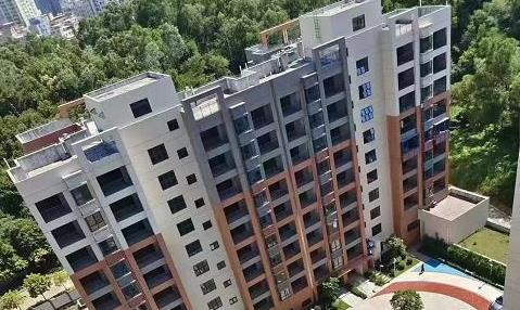 观澜6栋村委统建楼「高尔夫1号」通燃气可落户  双地铁口 双层车库 公园学校零距离 