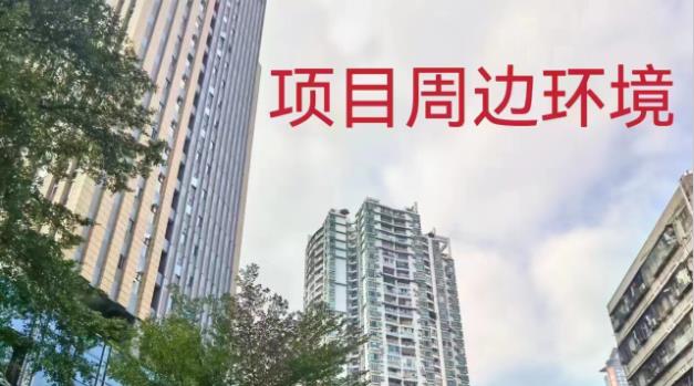 福田新洲「福田美庐」旧改拆迁房 村委盖章 水电过户 原始户型 大阳台通燃气 总价39.8万起