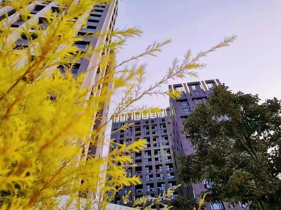 东莞大岭山矮岭冚3栋统建楼花园小区《松湖一品》通燃气带双层停车场  公园学校为邻 可分期10年