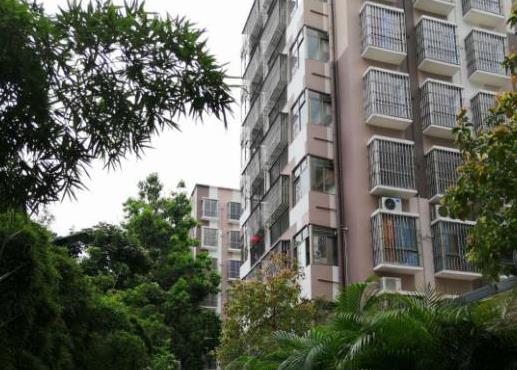 观澜大水坑村委房「澜兴花园」8栋800户大型社区 通燃气 村委盖章